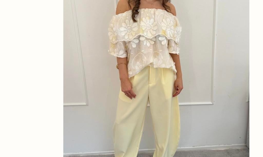Nieuwe prachtige blouse kaartje eraan uitverkocht te groot, Ophalen of Verzenden, Nieuw