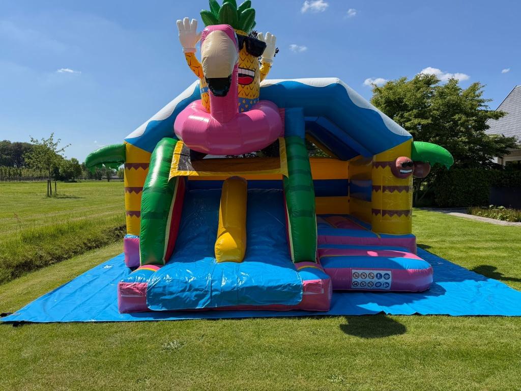 Springkussen te Huur | Hawaii Flamingo, Ophalen, Nieuw, Overige