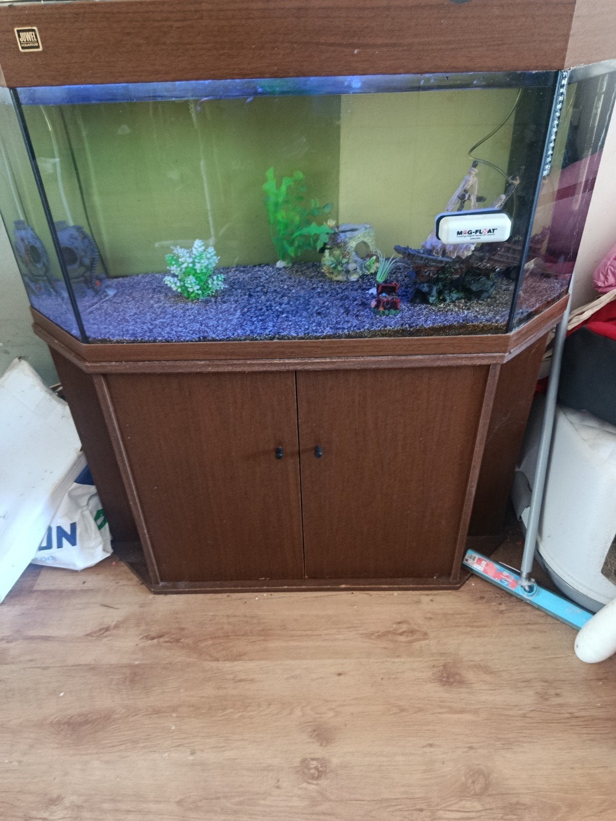 aquarium, Dieren en Toebehoren, Vissen | Aquaria en Toebehoren, Ophalen of Verzenden, Inclusief vissen, Zo goed als nieuw, Juwel