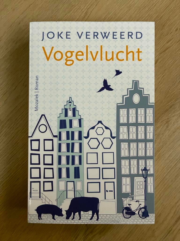 Vogelvlucht - Joke Verweerd (Zo goed als nieuw), Ophalen of Verzenden, Zo goed als nieuw