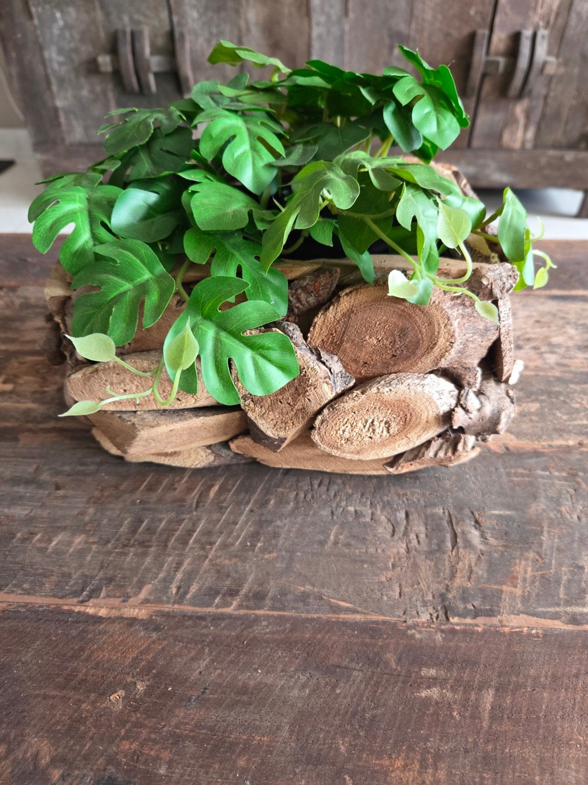 Kunstplantjes, Ophalen of Verzenden, Zo goed als nieuw