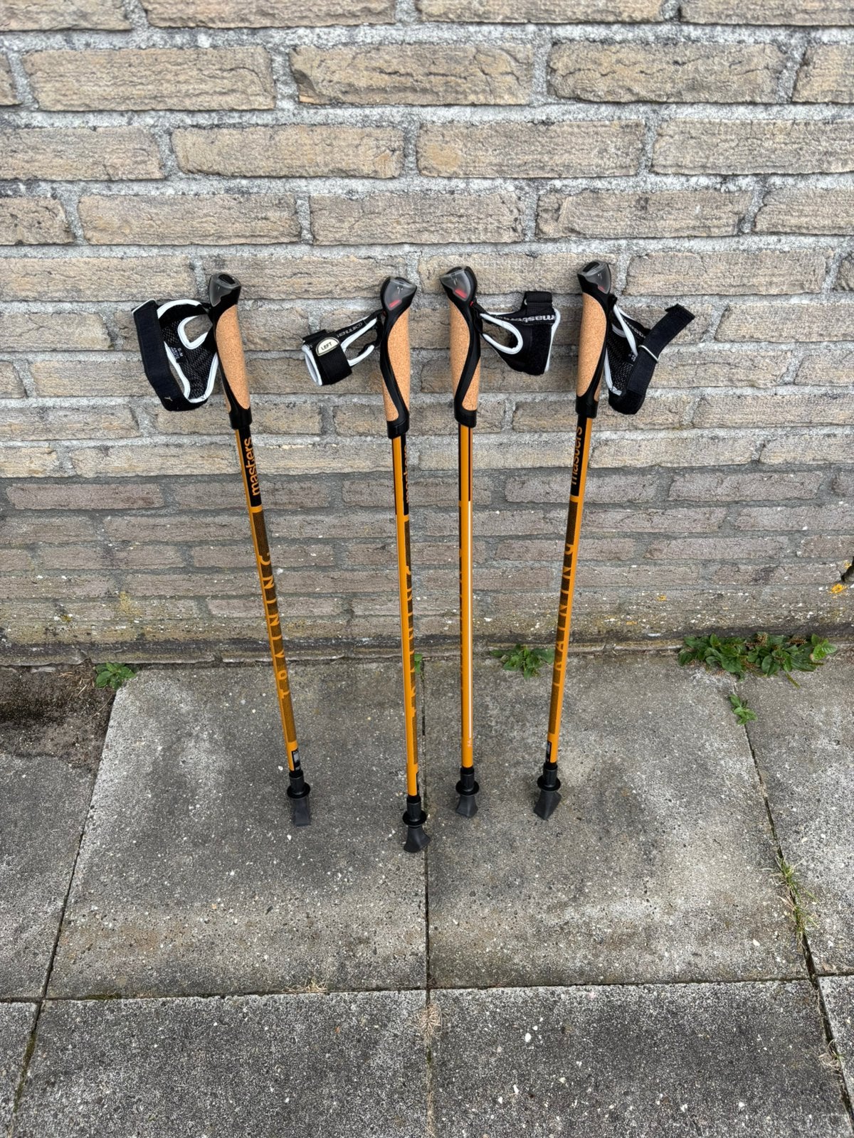 Nordic Walking stokken, Sport en Fitness, Bergsport en Wandelen, Ophalen, Zo goed als nieuw, Wandelstok