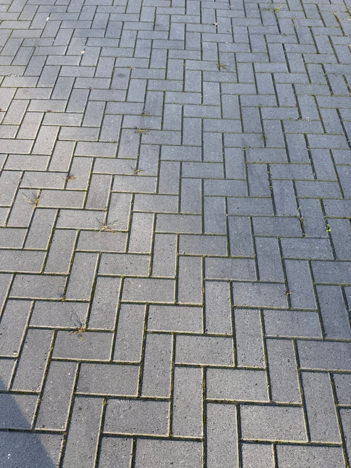 Klinkers, straatstenen grijs, 21m2 gratis, Ophalen, Zo goed als nieuw, Beton, Klinkers