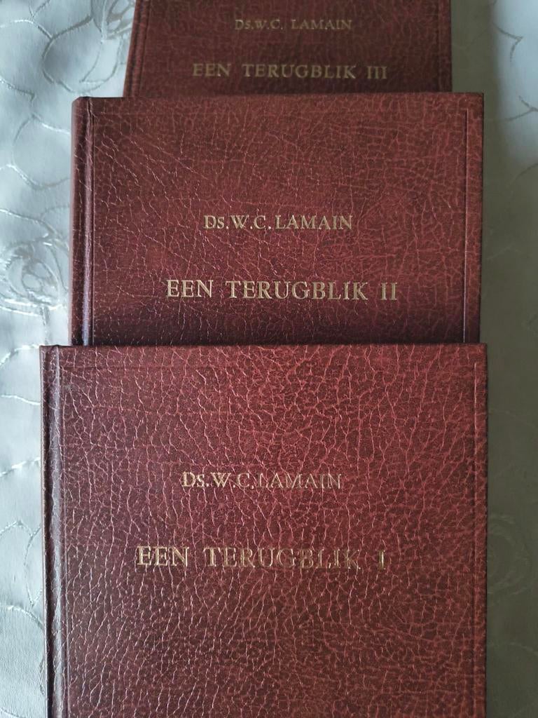 Een terugblik. Ds WC Lamain. deel 1-2en 3, Boeken, Ds W.C. Lamain, Christendom | Protestants, Ophalen of Verzenden, Zo goed als nieuw