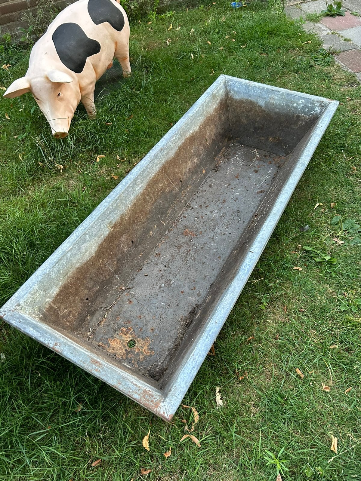 Ijzeren watertrog, Ophalen, Gebruikt, Minder dan 30 cm, Metaal