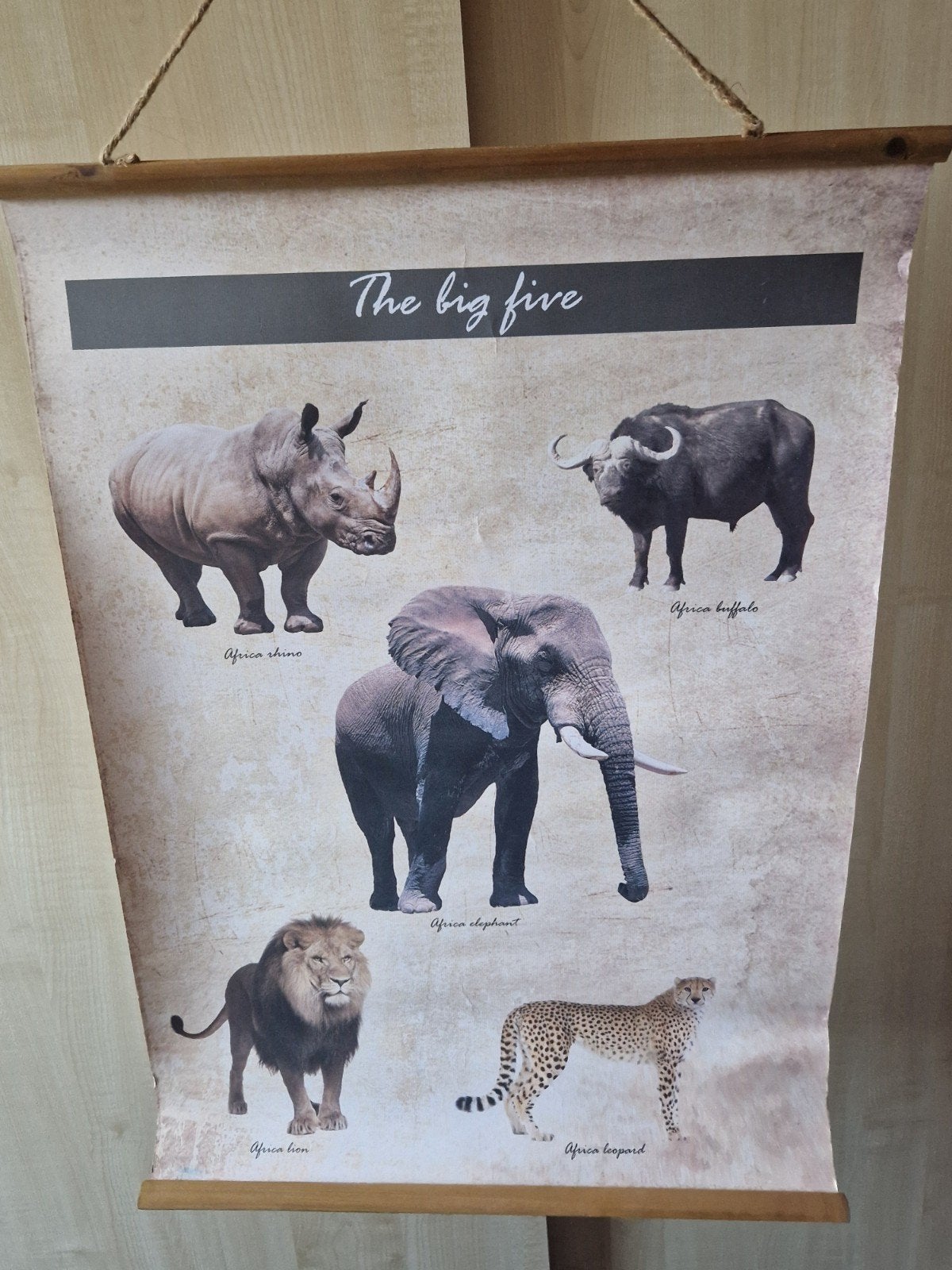 Poster van de Big Five - Afrikaanse Dieren, Rechthoekig Staand, Ophalen of Verzenden, Zo goed als nieuw, A1 t/m A3