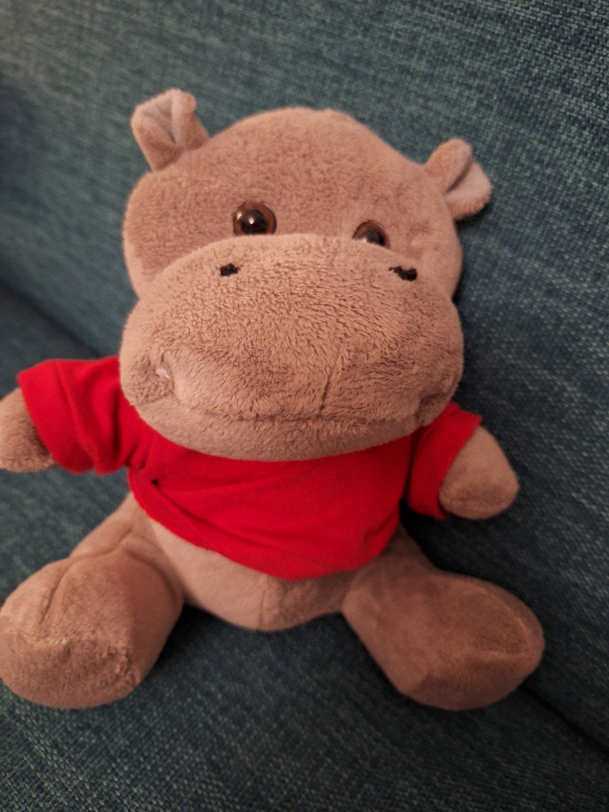 Schattig nijlpaard knuffel met rood shirtje, Overige merken, Overige karakters, Overige typen, Grijs