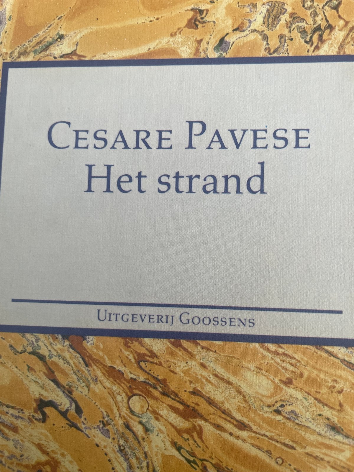 Cesare Pavese - Het strand (Uitgeverij Goossens), Boeken, Ophalen of Verzenden, Gelezen, Europa overig
