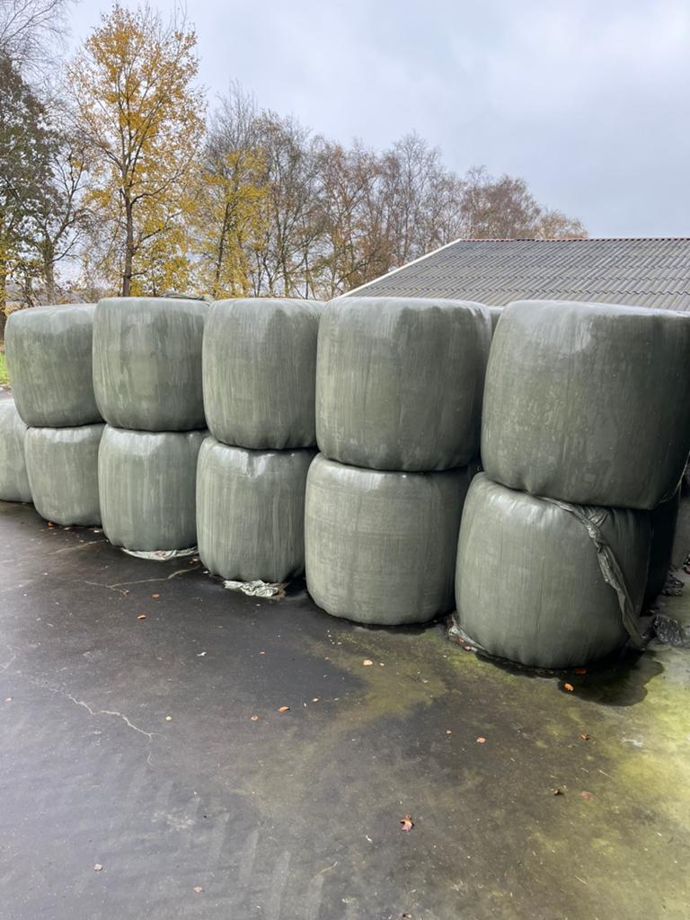 Kuilbaaltjes, Ophalen of Verzenden, Vee