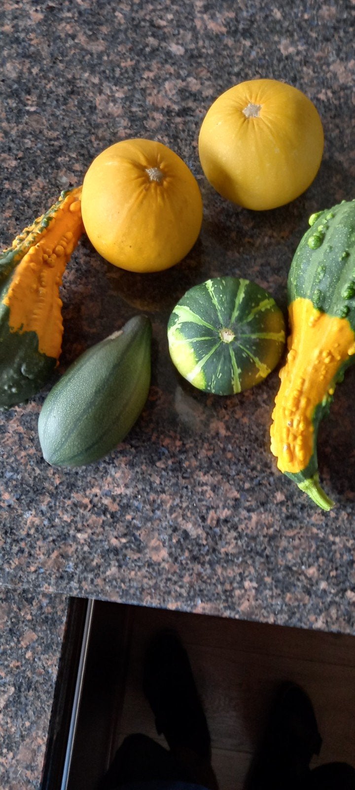 Kalebassen, diverse soorten., Ophalen, Nieuw