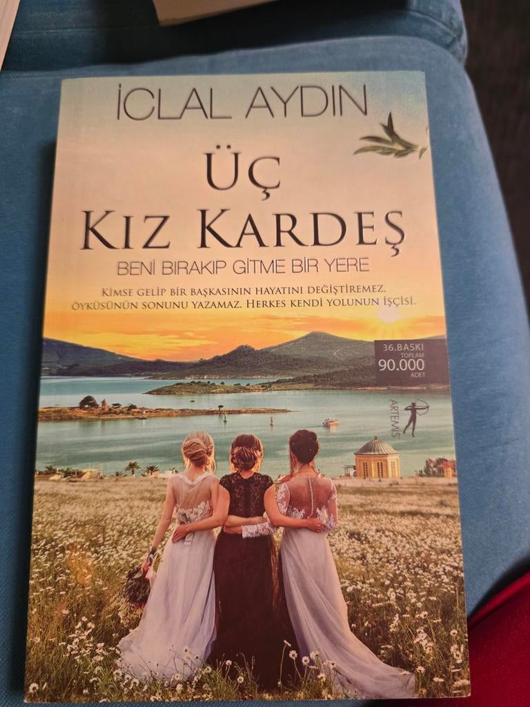 Üç Kız Kardeş - Iclal Aydın (Turks Boek), Ophalen, Gelezen, Iclal Aydın, Wereld overig