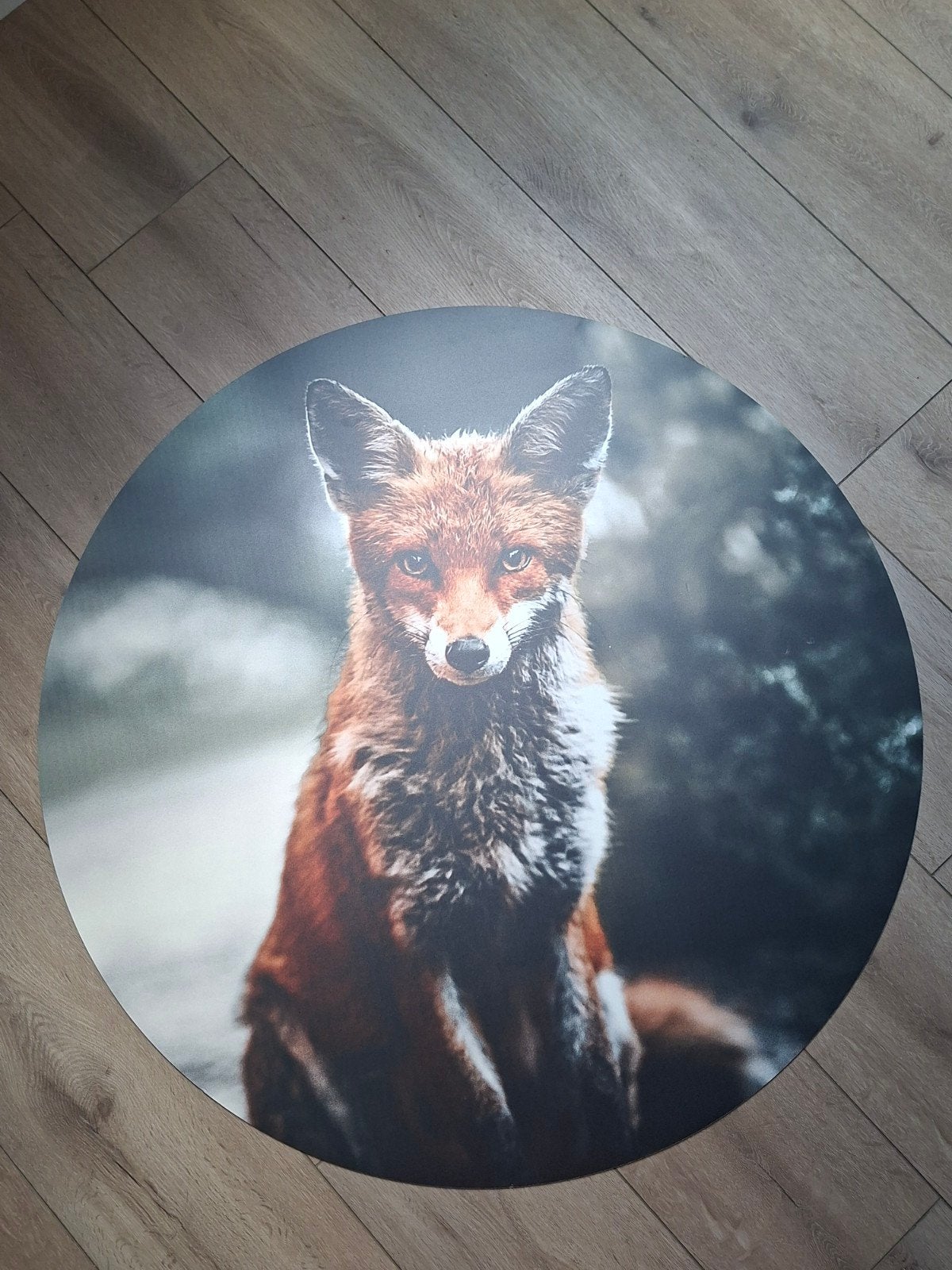 Ronde poster vos op gehard karton, Huis en Inrichting, Woonaccessoires | Schilderijen, Tekeningen en Foto's, Ophalen, Zo goed als nieuw