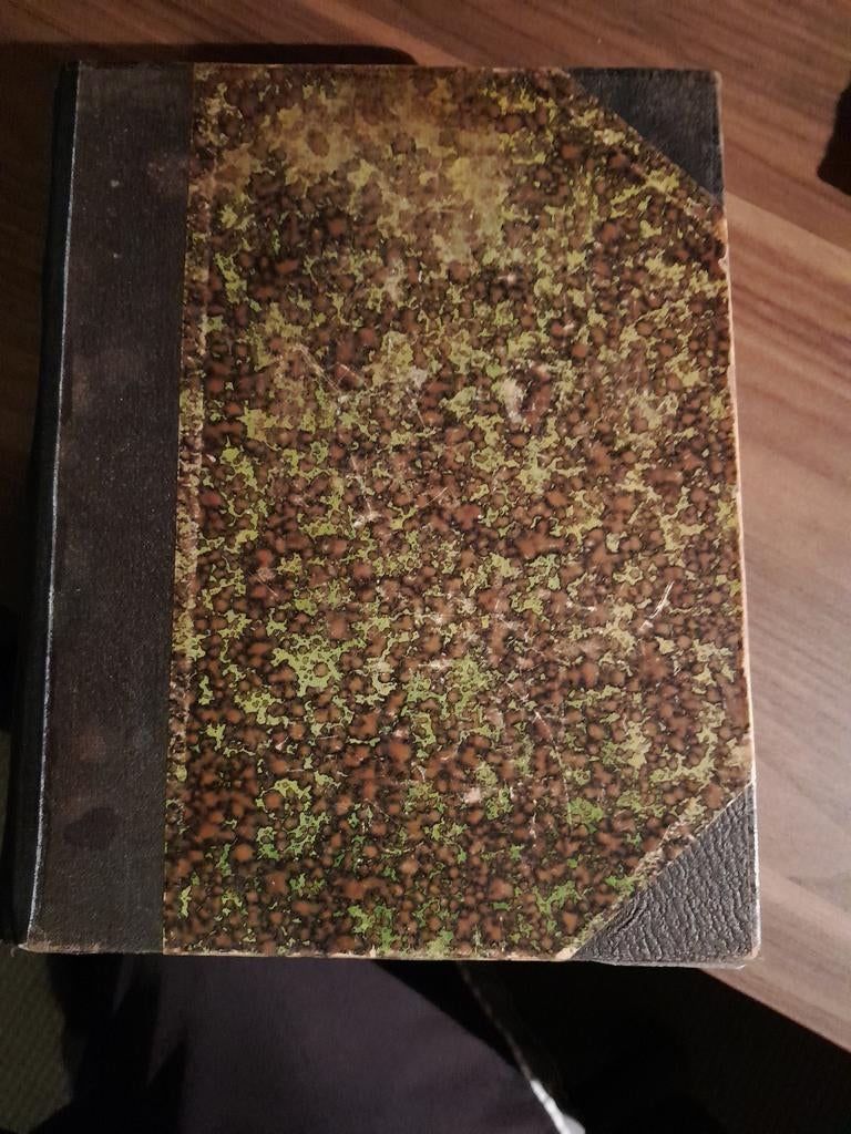 Ds. B. Smijtegelt, het gekrookte riet, Ophalen of Verzenden, Gelezen, Ds. B. Smijtegelt, Christendom | Protestants
