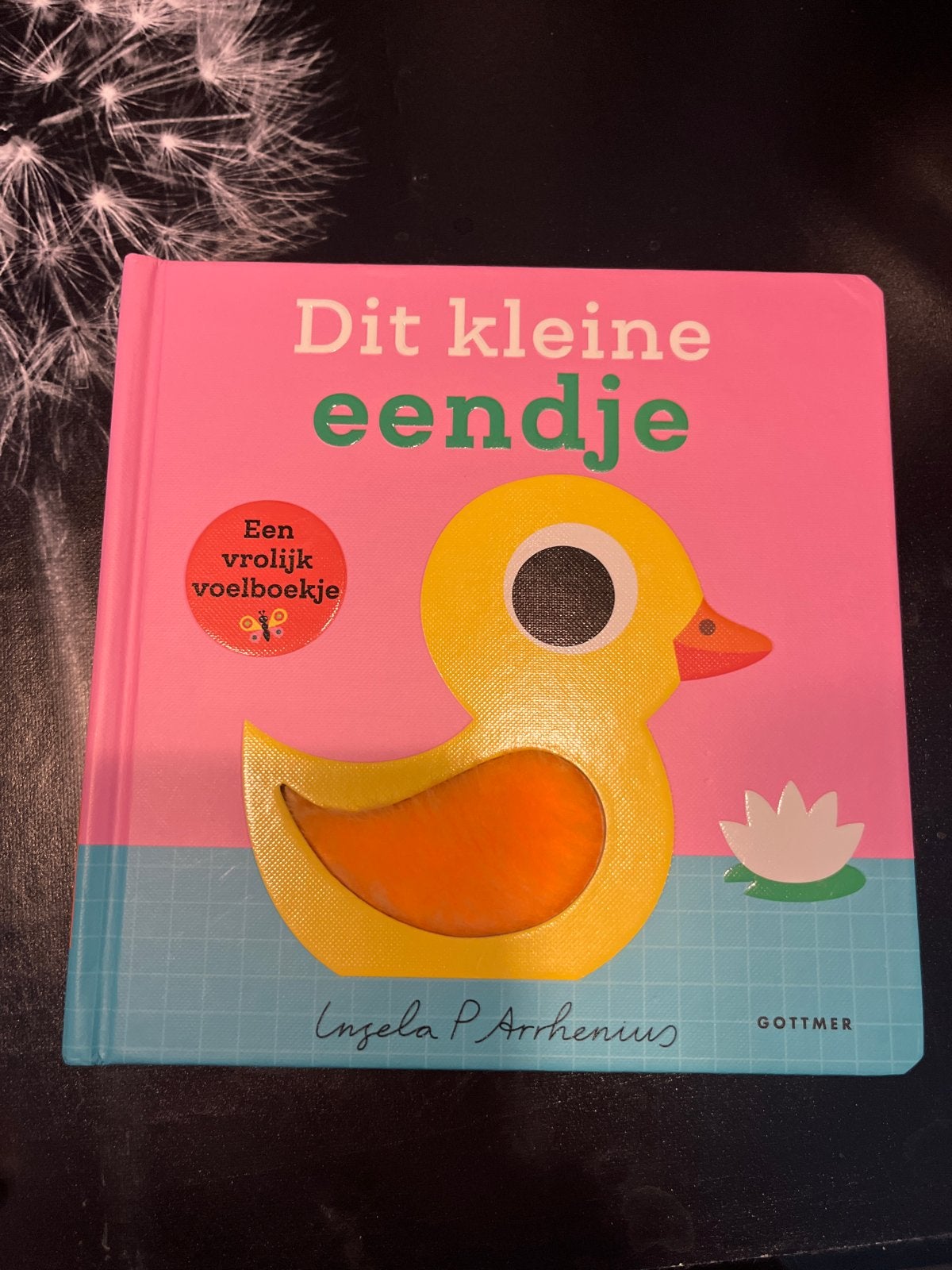 Dit kleine eendje - Een vrolijk voelboekje, Ophalen of Verzenden, Zo goed als nieuw, Uitklap-, Voel- of Ontdekboek, 0 tot 6 maanden