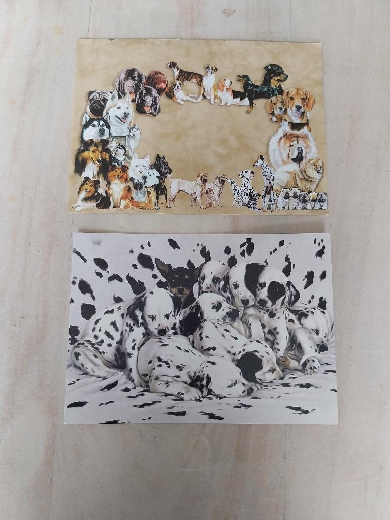 Mooie ansicht kaart met envelop dalmatier pups NIEUW, Ophalen of Verzenden, 1980 tot heden, Ongelopen, Hond of Kat