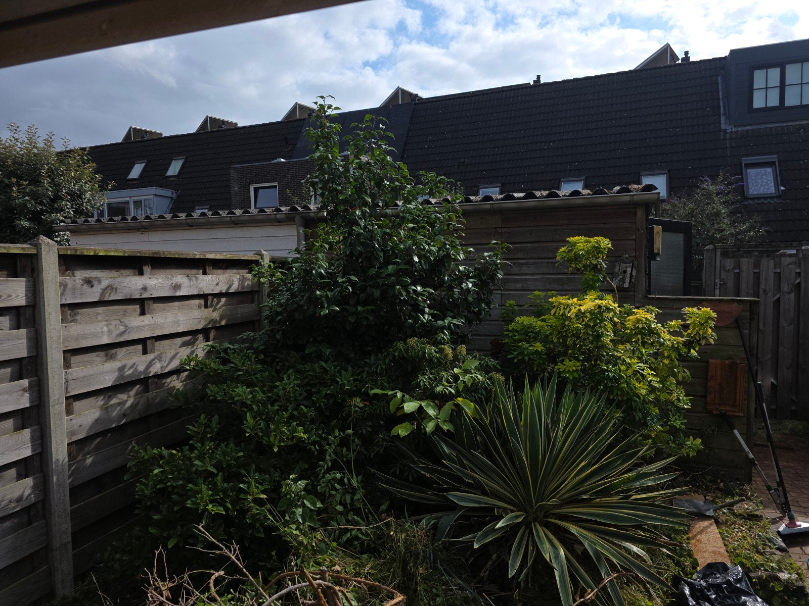 Tuin planten, Ophalen