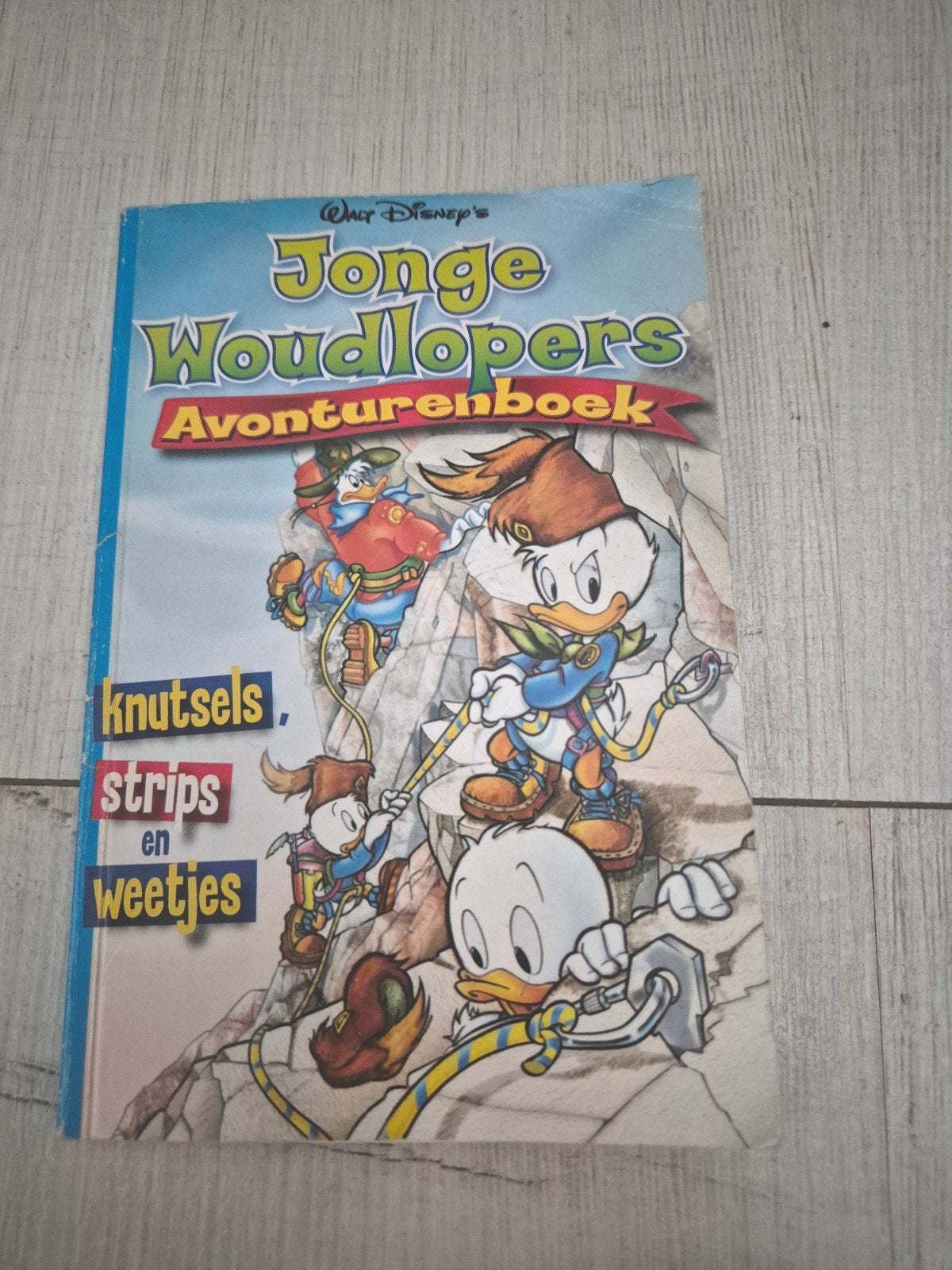 Donald Duck Jonge Woudlopers Avonturenboek: Knutsels, Strips, Boeken, Eén stripboek, Ophalen, Gelezen, Walt Disney  Donald duck