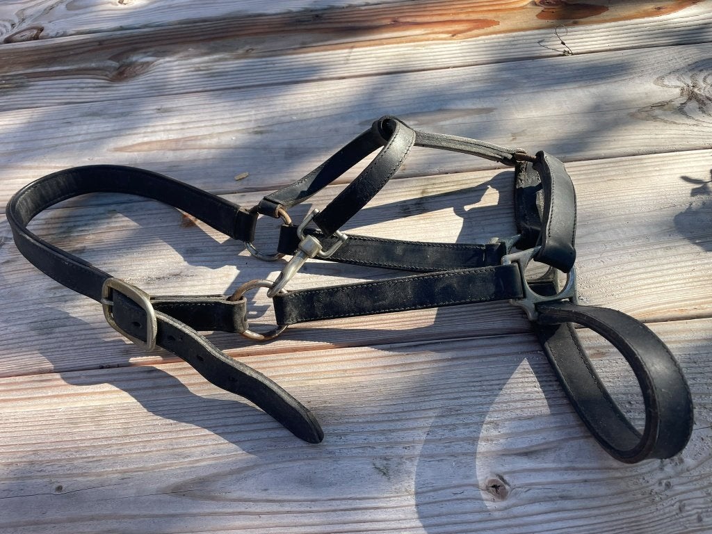 lederen halster veulen, Dieren en Toebehoren, Ophalen, Gebruikt, Pony, Zwart