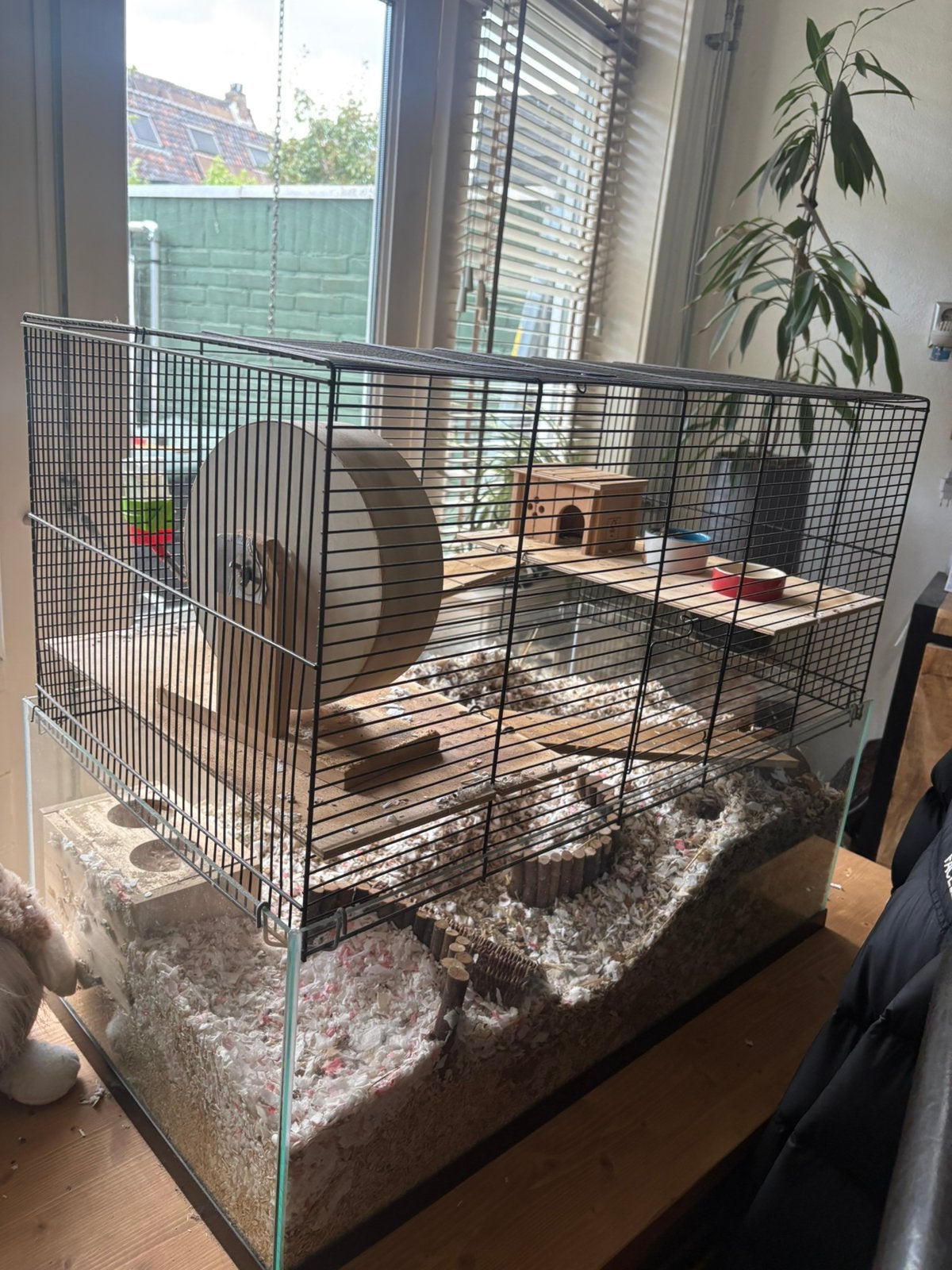 hamsterhok inclusief hamster, Ophalen, Kooi, Gebruikt, 60 tot 90 cm
