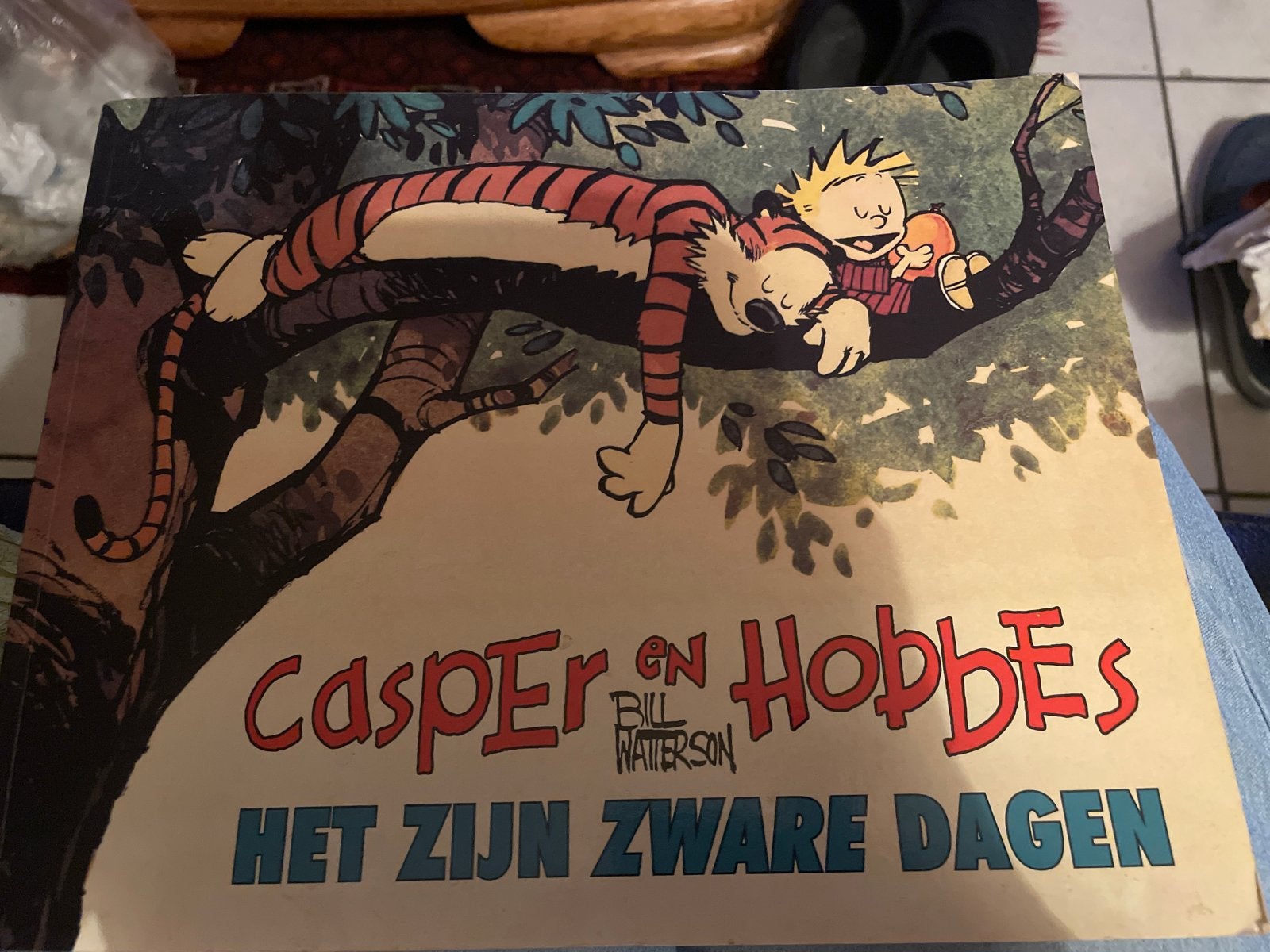 Casper en Hobbes: Het Zijn Zware Dagen (2000), Eén stripboek, Ophalen of Verzenden, Gelezen