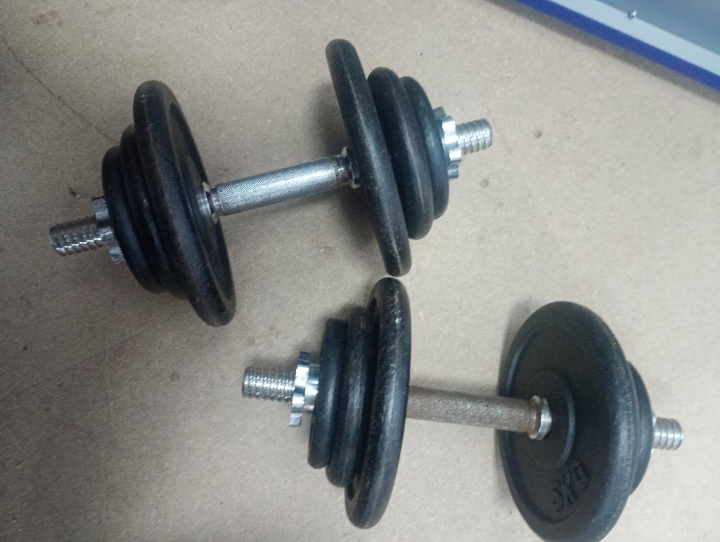 Halterset 40 kg, Sport en Fitness, Ophalen, Gebruikt, Benen, Halterset