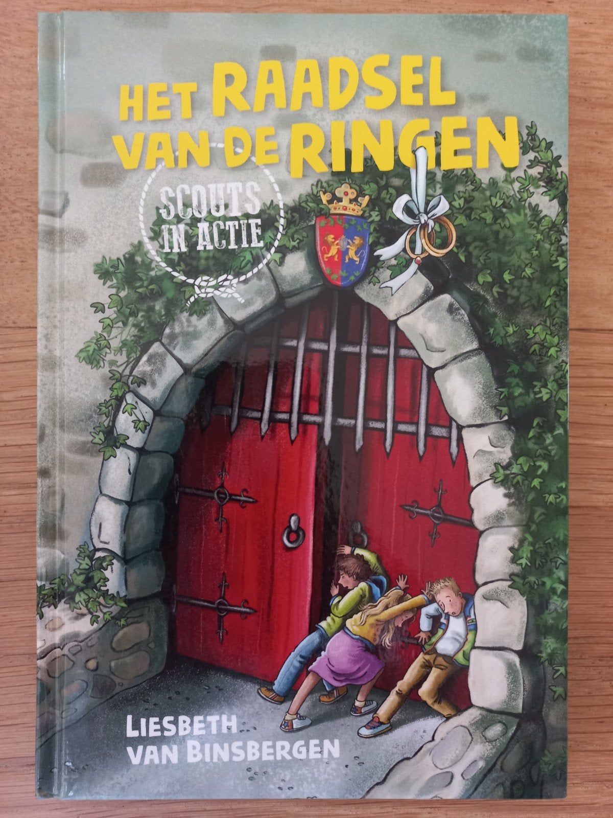 Het raadsel van de ringen, Liesbeth v Binsbergen, NIEUW!!!, Boeken, Ophalen of Verzenden, Nieuw
