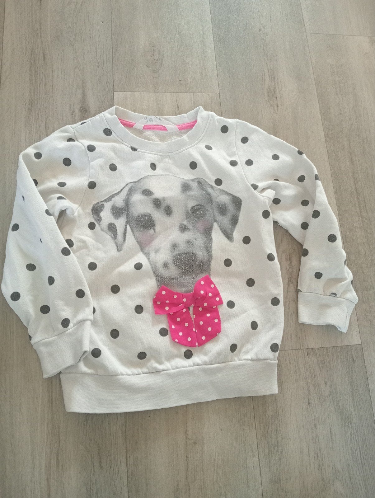 Leuke Sweater met hondjes erop zgan maat 110/ 116 ,H&M, Ophalen of Verzenden, Zo goed als nieuw, Meisje, Trui of Vest