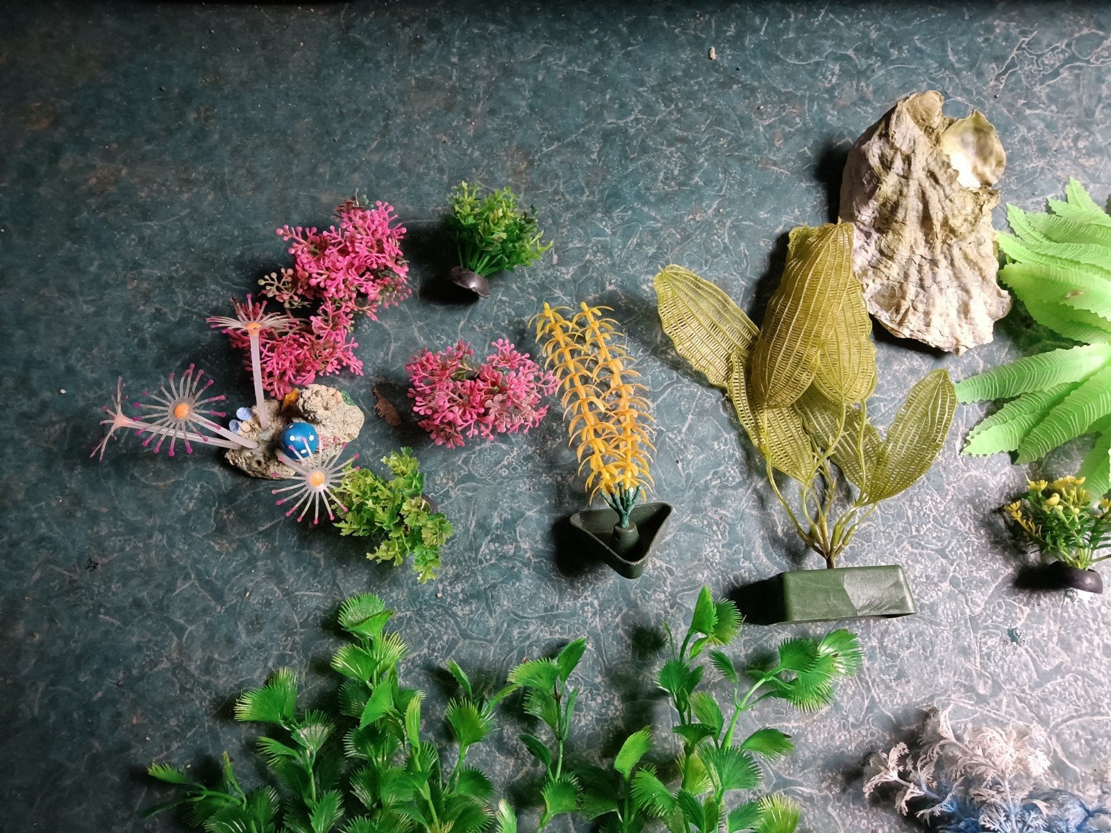 aquarium planten, Ophalen of Verzenden, Gebruikt, Plant(en), Steen of Hout