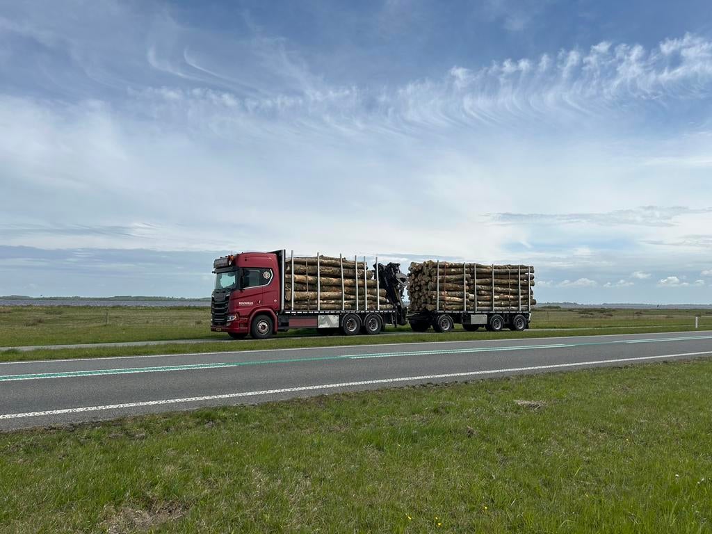 Stamhout brandhout: voor zowel grote als kleine afnames