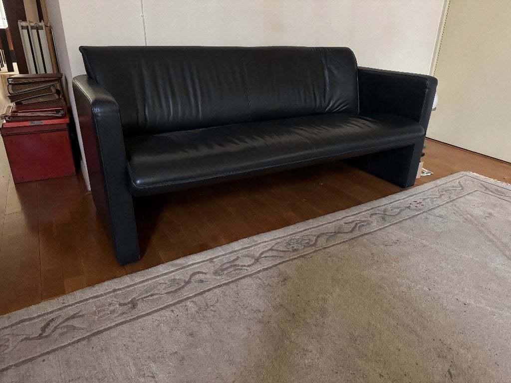 Leolux bank, Ophalen, Design, 150 tot 200 cm, Tweepersoons