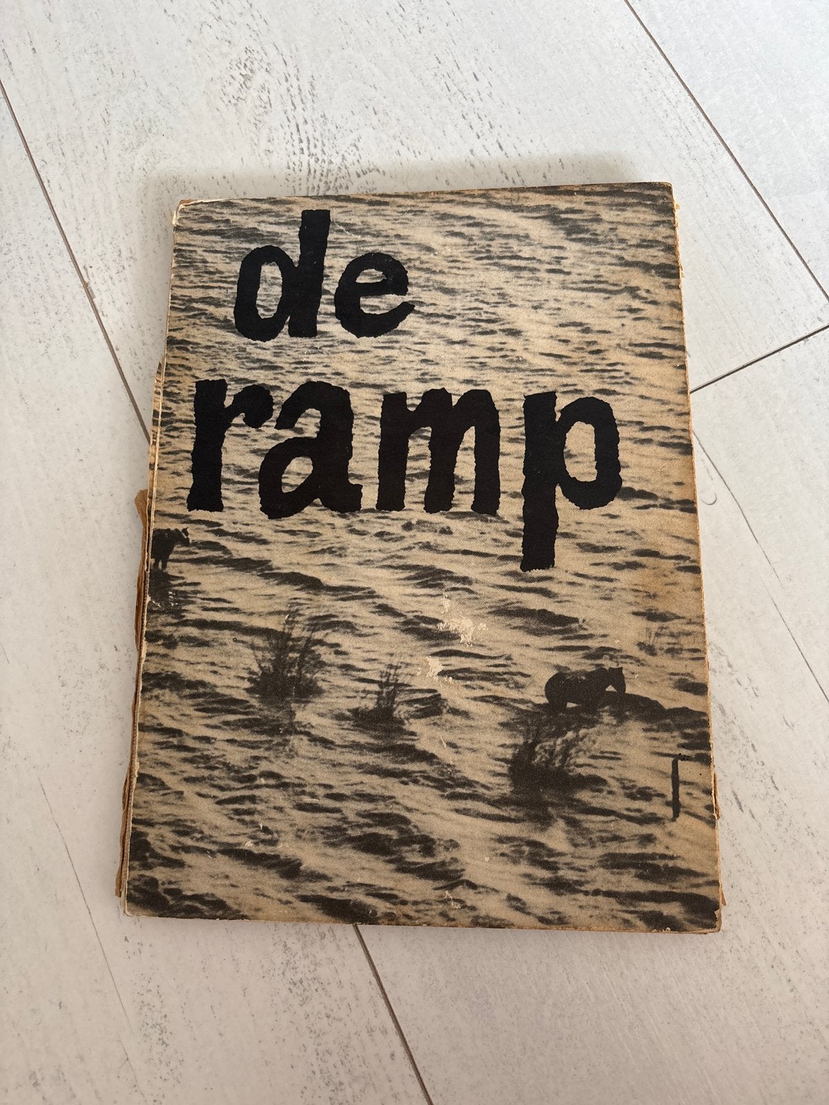 De Ramp - Nationale Uitgave (1953) met voorwoord Koningin, Ophalen of Verzenden, 20e eeuw of later, Gelezen