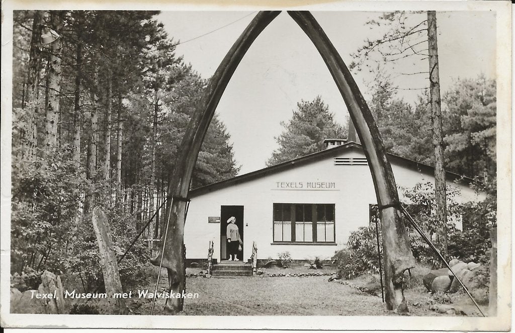 Texel , Museum met Walviskaken ., Verzamelen, Verzenden, 1960 tot 1980, Gelopen, Waddeneilanden