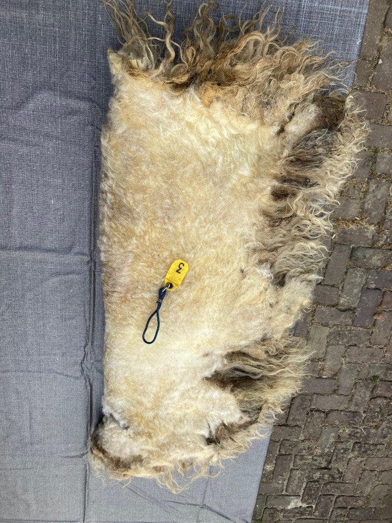 Racka vachten, Verzenden, Nieuw, Overige typen, Wolvilt