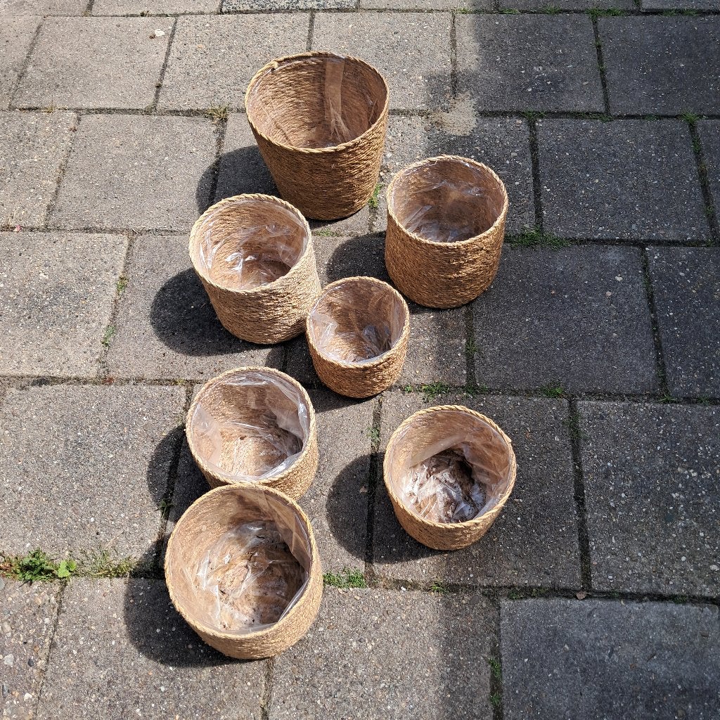 Mandjes voor kamerplanten, Ophalen, Overige soorten, Halfschaduw, Minder dan 100 cm