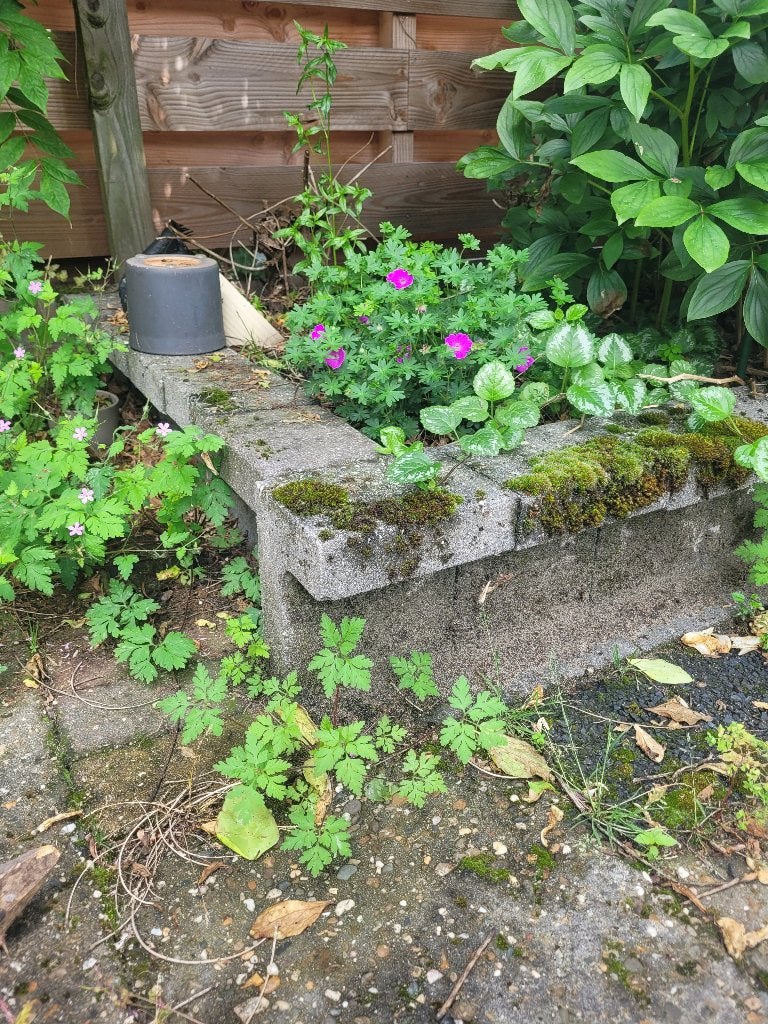 Tuinbak stenen, Tuin en Terras, Tegels en Klinkers, Ophalen, Zo goed als nieuw, Beton, Klinkers