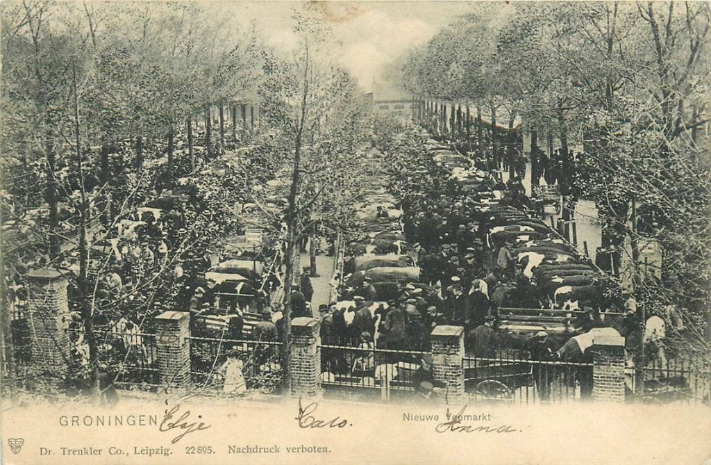 701-135-043 Groningen Nieuwe Veemarkt, Verzamelen, Ophalen of Verzenden, Voor 1920, Groningen