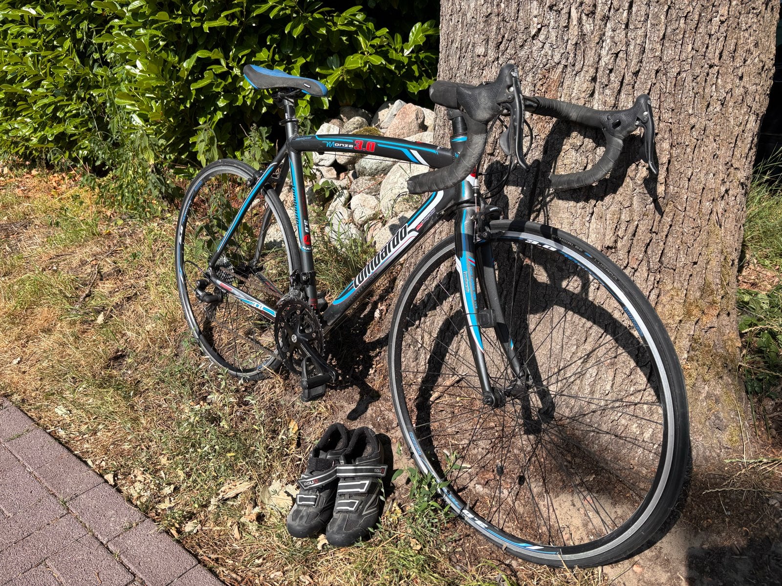Lombardo Monza 3.0 racefiets - Campagnolo Xenon, 28 inch, Gebruikt, Aluminium, 15 tot 20 versnellingen