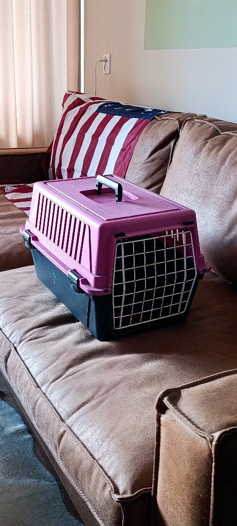 Katten vervoer, Ophalen, Gebruikt
