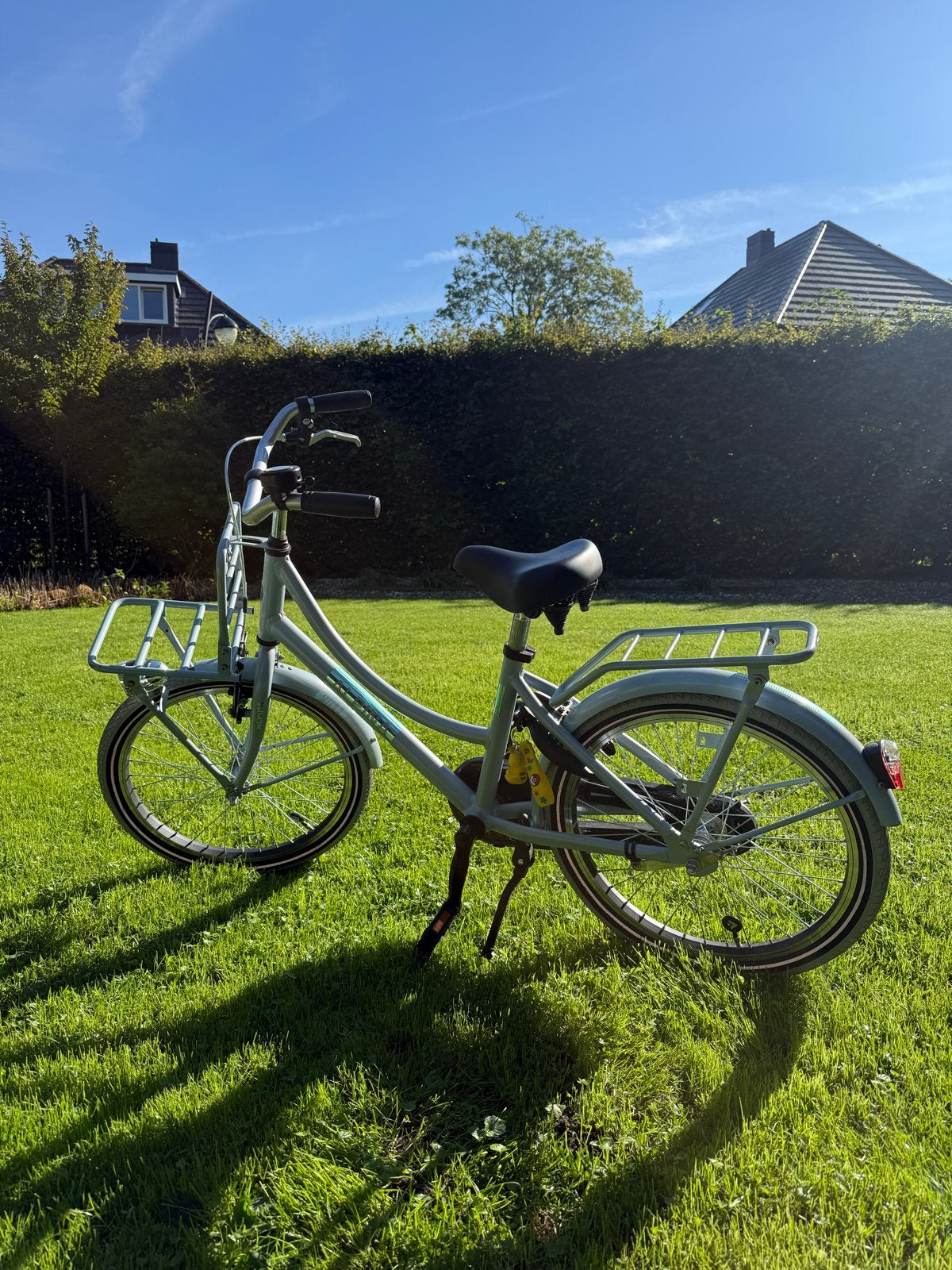 Alpina Cargo M20 Kinderfiets 20 inch - Lichtblauw, Ophalen, Gebruikt, 20 inch of meer