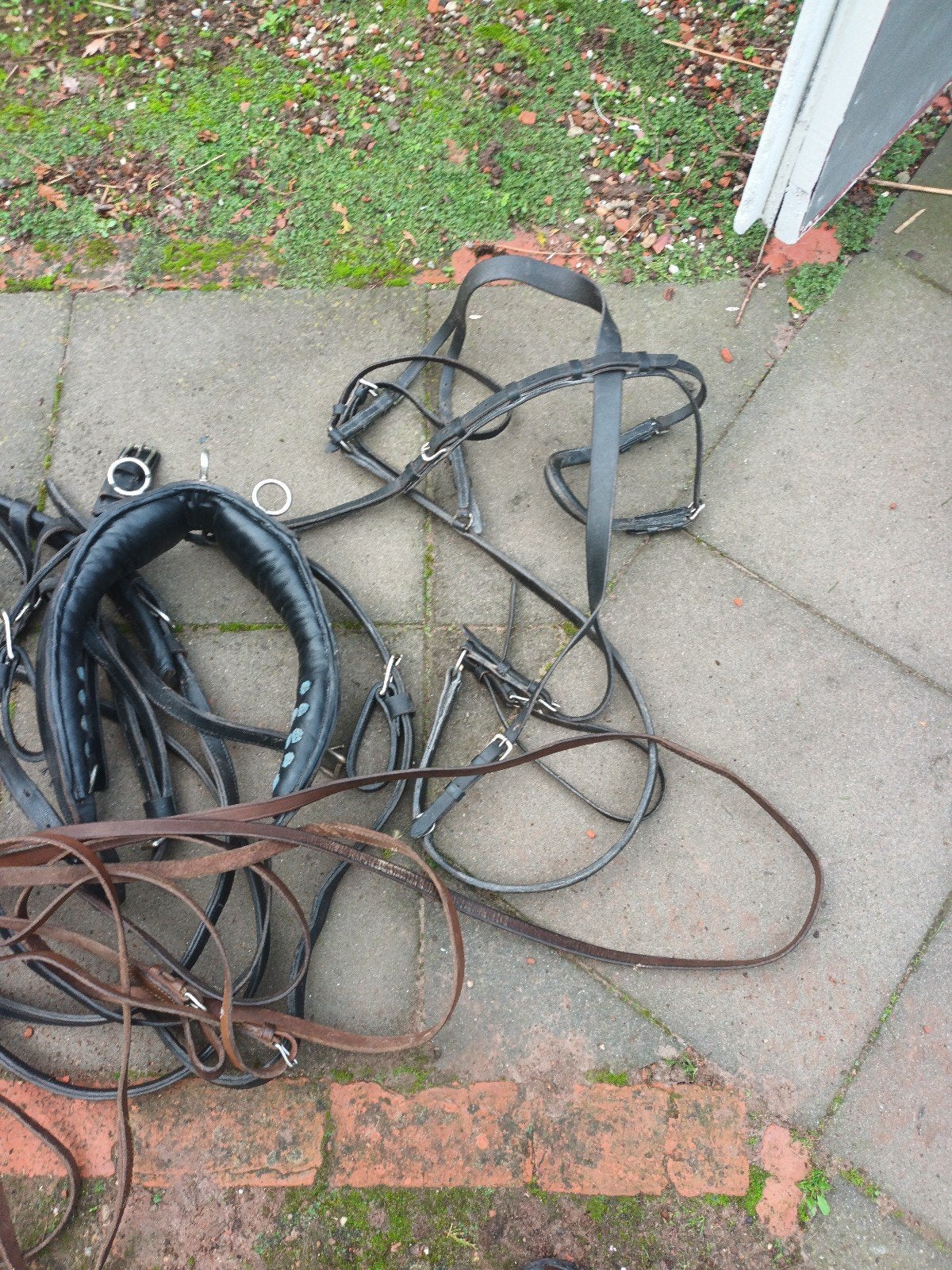 te koop, Ophalen, Bit, Cob