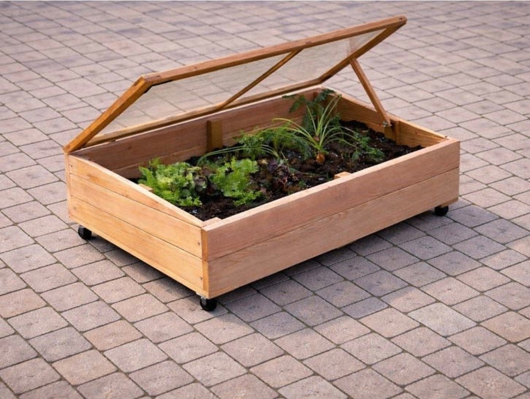 Woodvision || Moestuin/kweekbak || Deksel/wielen || Douglas, Ophalen of Verzenden, Nieuw, Rechthoekig, Hout