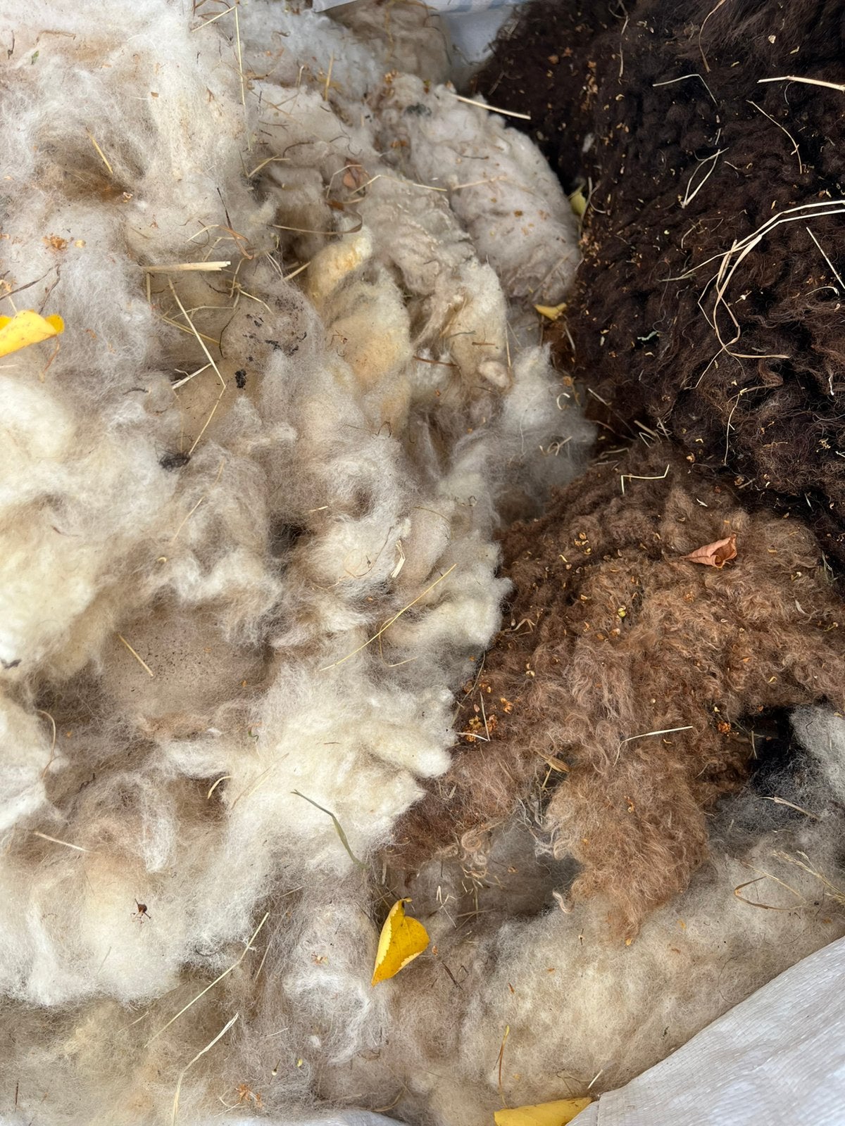 Schapenvacht | wol | verschillende kleuren en vachten, Ophalen, Zo goed als nieuw, Spinwol