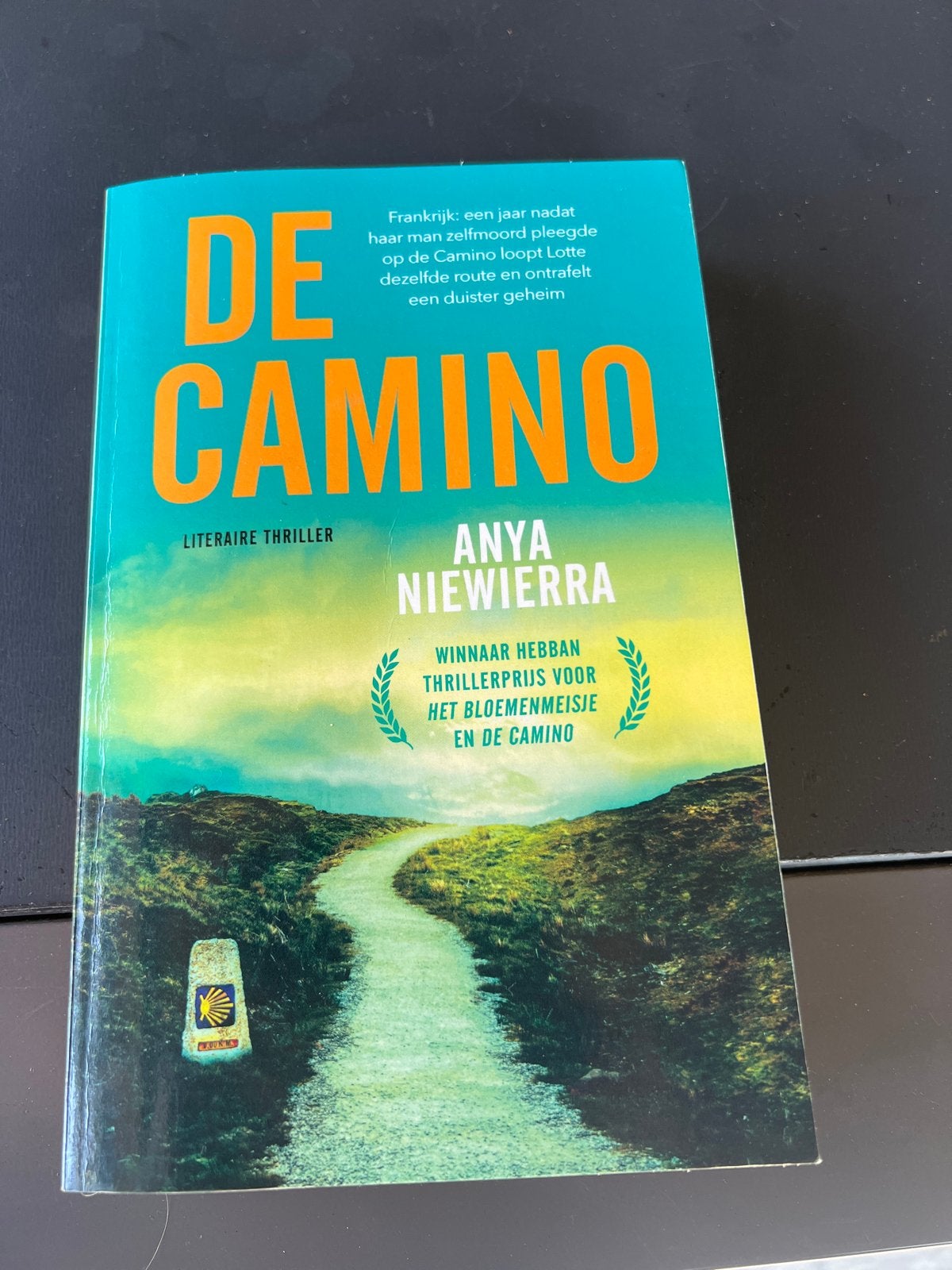 De Camino - Anya Niewierra (Literaire thriller), Ophalen of Verzenden, Zo goed als nieuw, Nederland