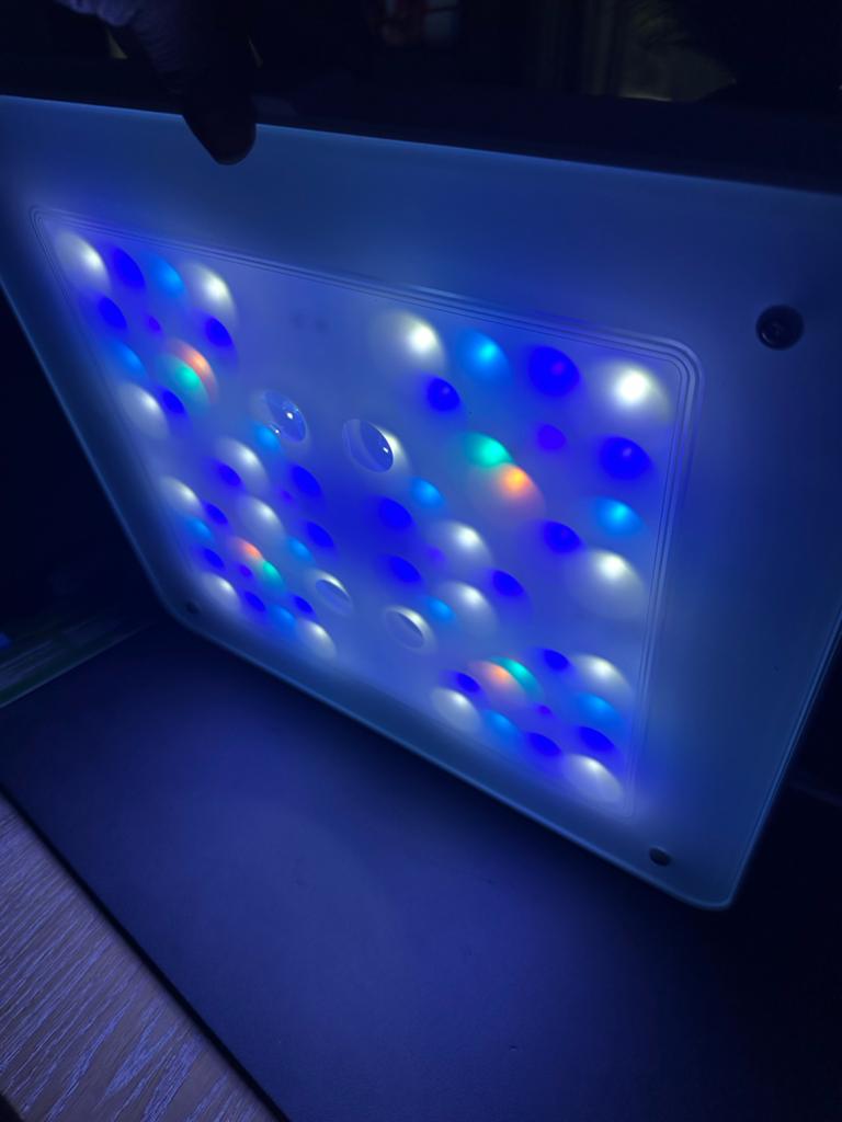 Philips Coral Care gen2, Dieren en Toebehoren, Vissen | Aquaria en Toebehoren, Ophalen of Verzenden, Verlichting of Verwarming