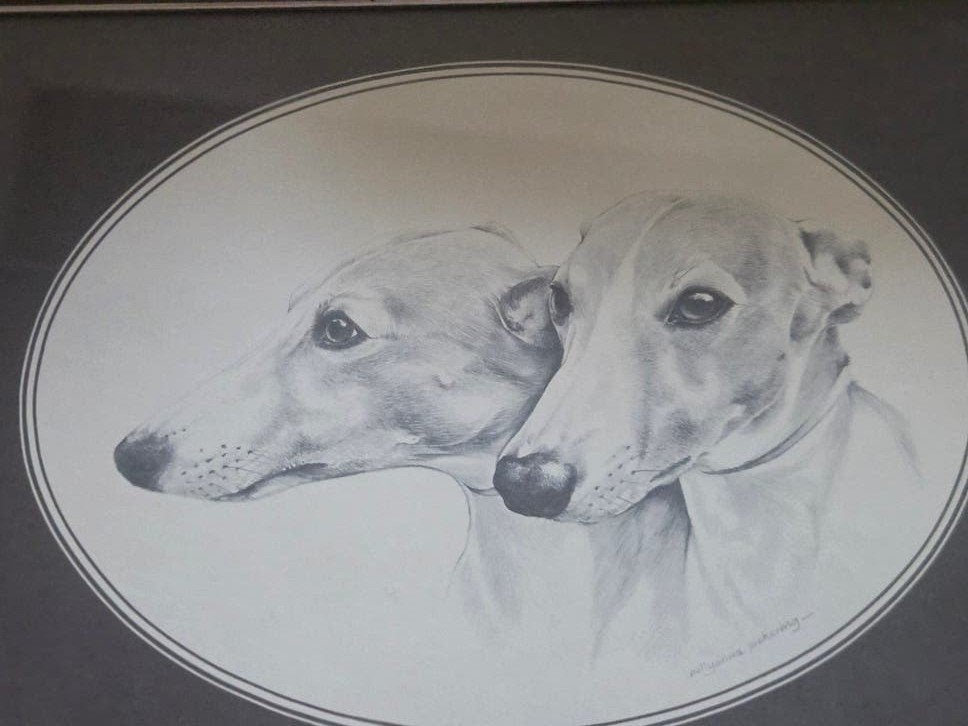 Prachtige ingelijste potloodtekening van twee windhonden, Verzamelen, Ophalen of Verzenden, Gebruikt, Hond of Kat, Overige typen