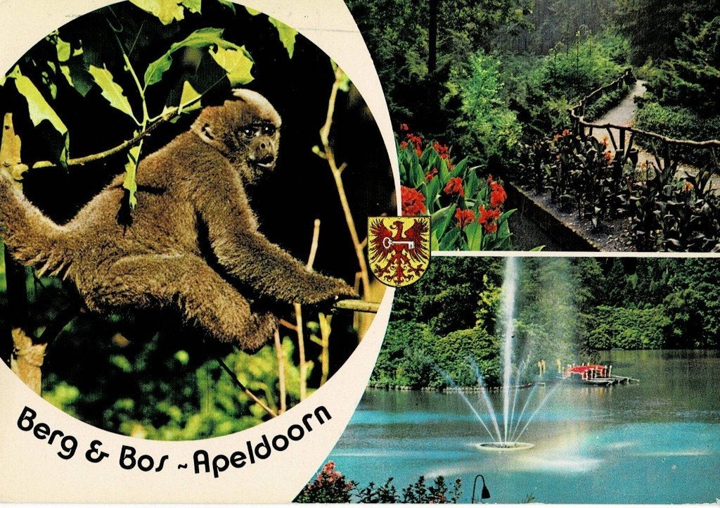 Apeldoorn, Berg en Bos, Aap, Ophalen of Verzenden, 1960 tot 1980, Gelopen, Gelderland