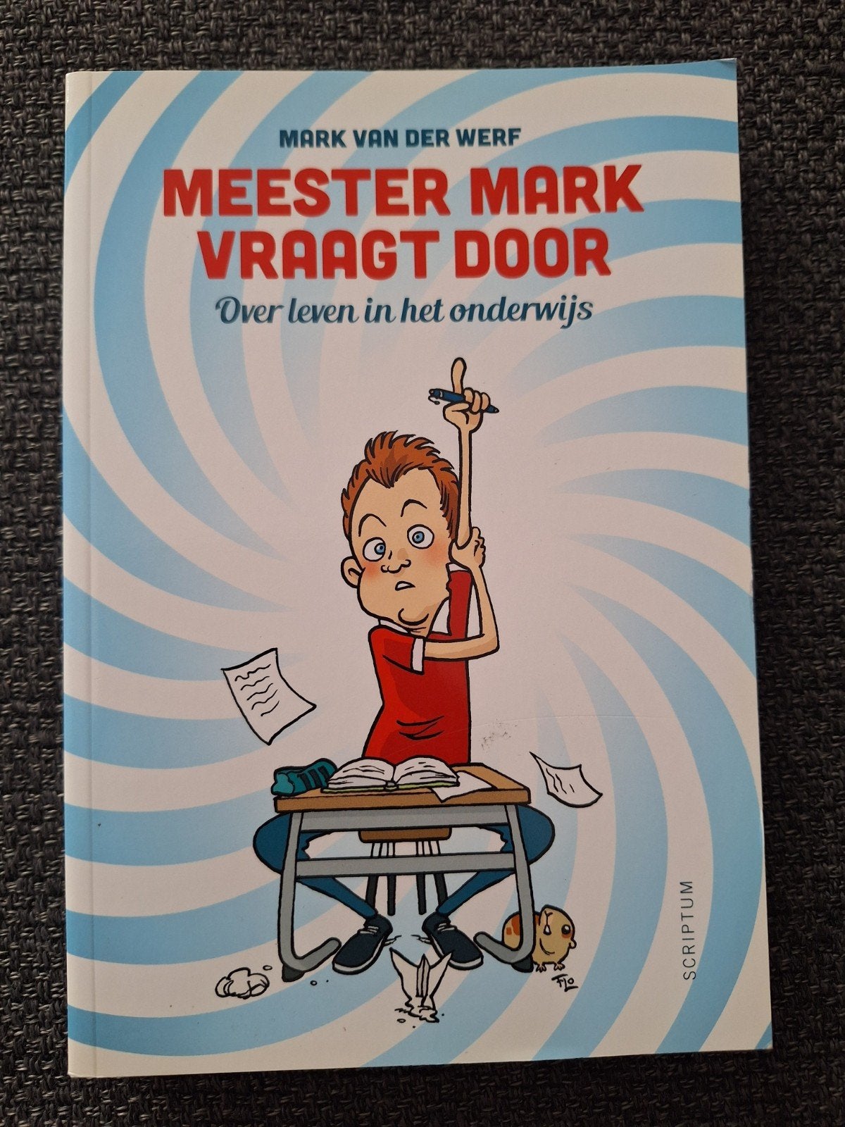 Meester Mark Vraagt Door: Over leven in het onderwijs, Ophalen of Verzenden, Zo goed als nieuw, Mark van der Werf, Nederland