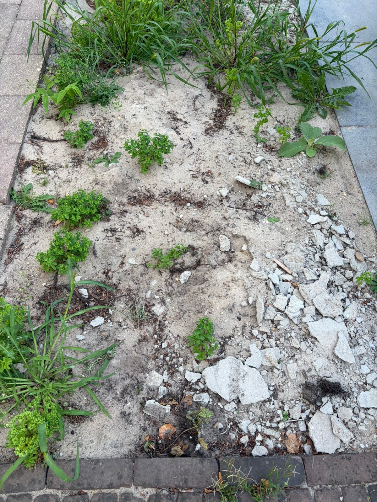 Gratis grond/zand uit mijn achtertuin, Tuin en Terras, Zand, Ophalen, Gebruikt, Overige typen