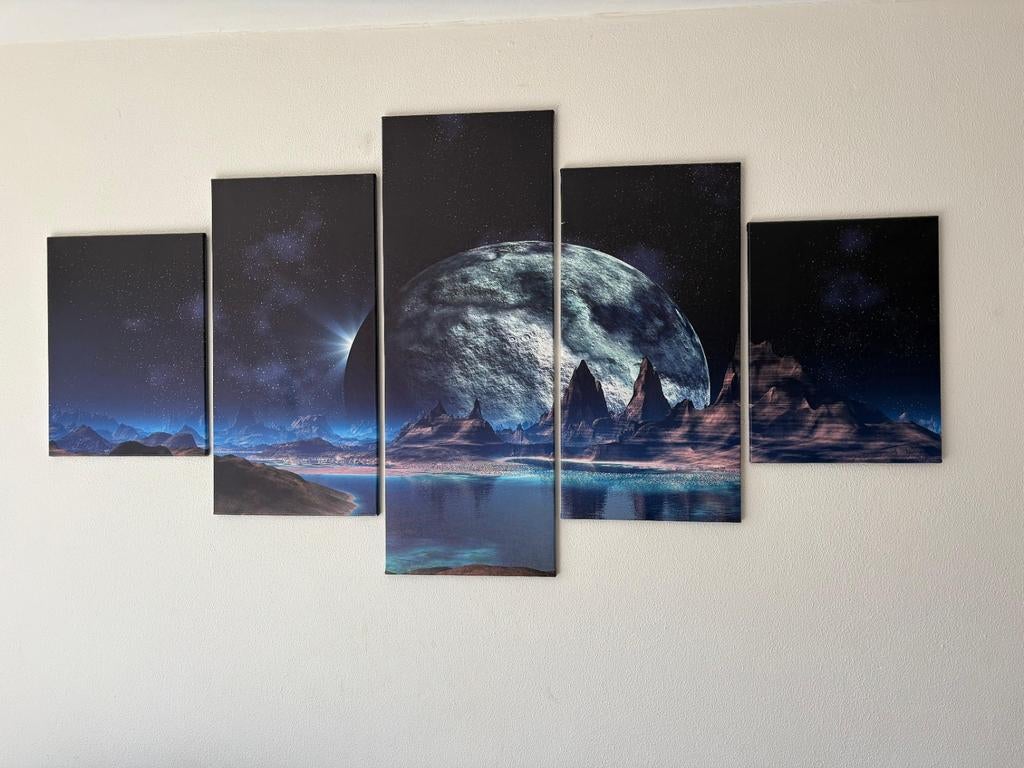5-delig Schilderij canvas, Antiek en Kunst, Kunst | Schilderijen | Modern, Ophalen of Verzenden