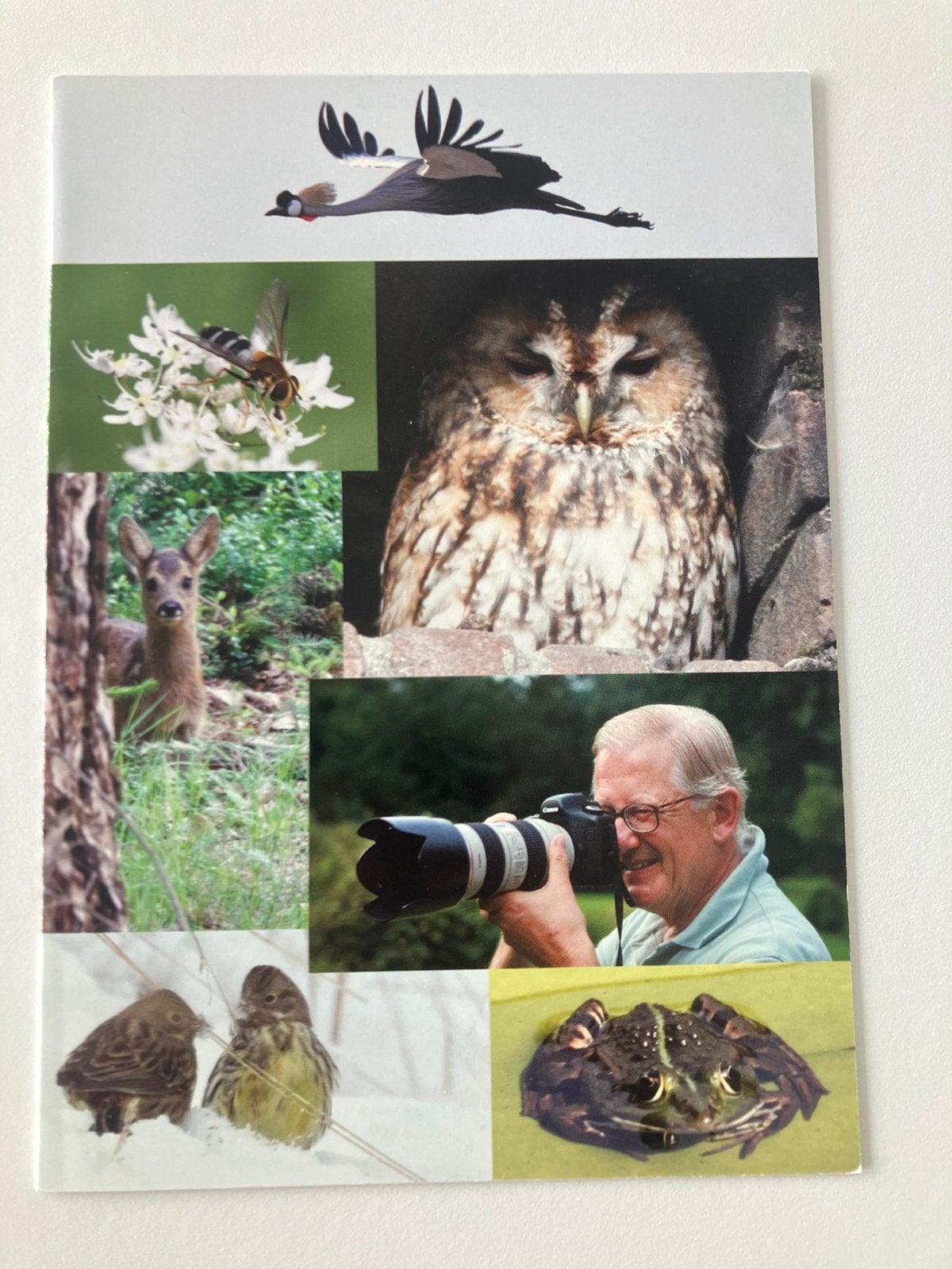 2010, verjaardag mr. Pieter van Vollenhoven, Verzamelen, Ophalen of Verzenden, Zo goed als nieuw, Kaart, Foto of Prent